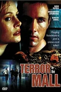 Постер к фильму «Темный дождь (1998)»
