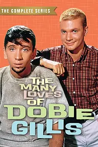 Постер к сериалу «Успех Доби Гиллис (1959 - 1963)»