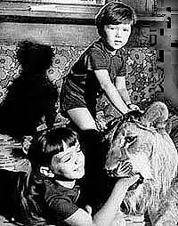 Постер к фильму «У меня есть лев (1975)»
