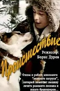 Постер к фильму «Происшествие (1974)»