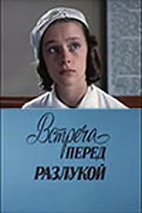 Главный постер фильма «Встреча перед разлукой (1985)»