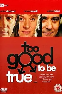 Постер к фильму «Too Good to Be True (2003)»
