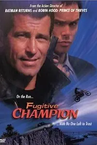 Главный постер фильма «Объект преследования (1998)»