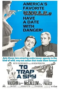 Постер к фильму «Поймать шпиона (1964)»