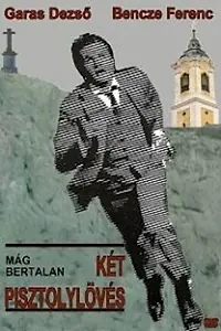 Главный постер сериала «Két pisztolylövés (1980)»