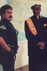 Главный постер фильма «The Return of Dolemite (2002)»