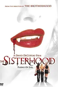 Главный постер фильма «Сестринское братство (2004)»