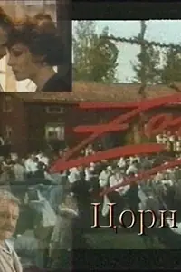 Постер к фильму «Цорн (1994)»