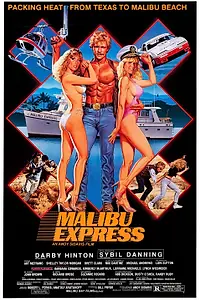 Главный постер фильма «Малибу-экспресс (1985)»