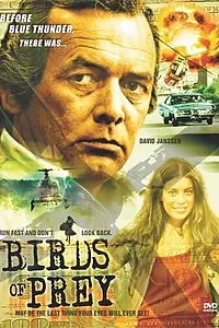 Главный постер фильма «Хищные птицы (1973)»