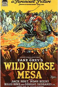 Постер к фильму «Wild Horse Mesa (1925)»