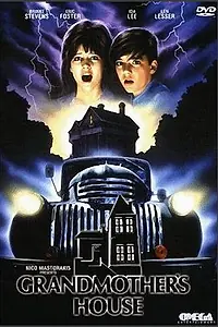 Главный постер фильма «Бабушкин дом (1988)»