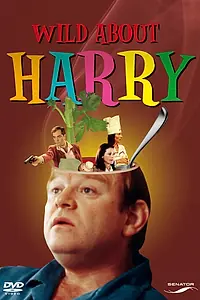 Постер к фильму «История о Гарри (2000)»