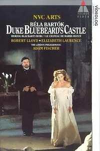 Постер к фильму «Duke Bluebeard's Castle (1988)»