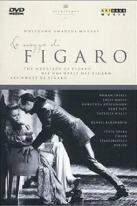 Постер к фильму «Женитьба Фигаро (1999)»