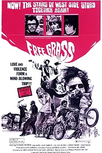 Постер к фильму «Кричи! (1969)»