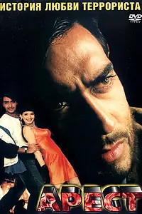 Постер к фильму «Арест (1996)»
