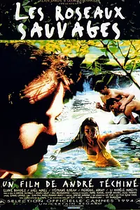 Главный постер фильма «Дикий тростник (1994)»