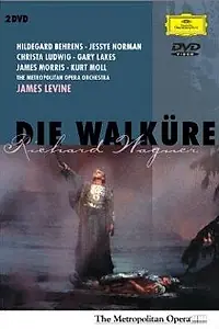 Постер к фильму «Валькирия (1990)»