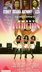Постер к фильму «The Perfect Model (1988)»