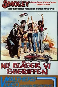 Постер к фильму «Smokey and the Judge (1982)»
