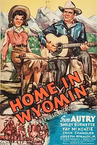 Главный постер фильма «Дом в Вайоминге (1942)»