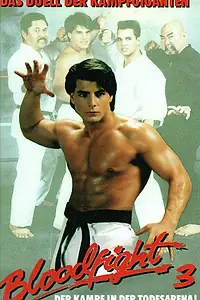 Постер к фильму «Войны карате (1991)»