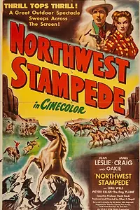 Постер к фильму «Northwest Stampede (1948)»