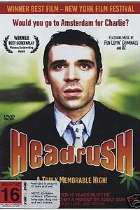 Главный постер фильма «Две съехавшие крыши (2003)»