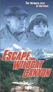 Главный постер фильма «Побег из Уайлдкэт-Каньон (1998)»