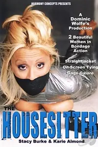 Постер к фильму «The Housesitter (2000)»