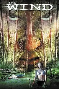 Постер к фильму «Ветер (2001)»