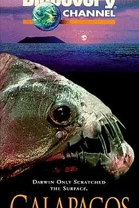 Постер к фильму «Galapagos: Beyond Darwin (1996)»