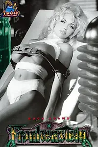 Постер к фильму «Франкенштейн (1995)»