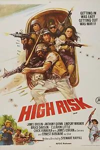 Постер к фильму «Высший риск (1981)»