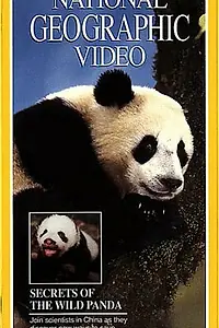 Главный постер фильма «Secrets of the Wild Panda (1995)»