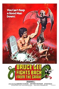 Постер к фильму «Брюс Ли возвращается (1976)»