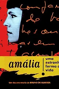 Постер к фильму «Амалия — такая вот странная жизнь (1995)»