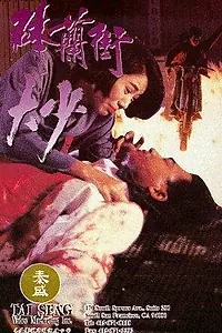 Главный постер фильма «Bat Lam Gai dai siu (1993)»