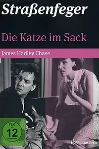 Постер к сериалу «Кот в мешке (1965)»