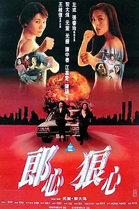 Главный постер фильма «Женщины в бегах (1993)»