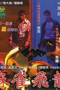 Постер к фильму «Дракон маджонга (1997)»
