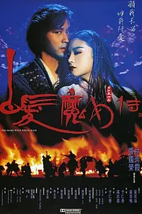 Главный постер фильма «Невеста с белыми волосами (1993)»