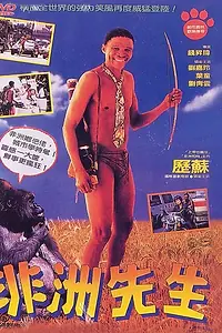 Постер к фильму «Боги, наверное, сошли с ума 4 (1993)»
