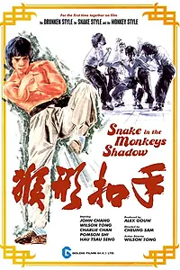 Главный постер фильма «Змея в тени обезьяны (1979)»