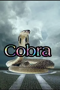 Постер к фильму «Cobra (1997)»
