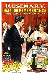 Главный постер фильма «Rosemary, That's for Remembrance (1914)»