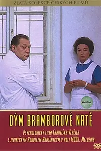 Постер к фильму «Доктор Мелузин (1976)»