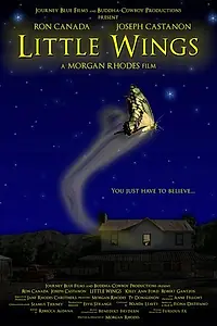 Главный постер фильма «Маленькие крылья (2007)»
