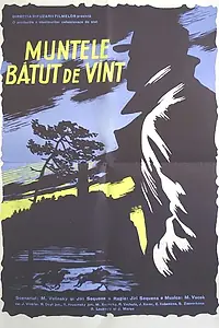 Главный постер фильма «Гора на ветру (1956)»